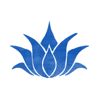 Illustration of a flower