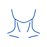 Illustration of a human neck