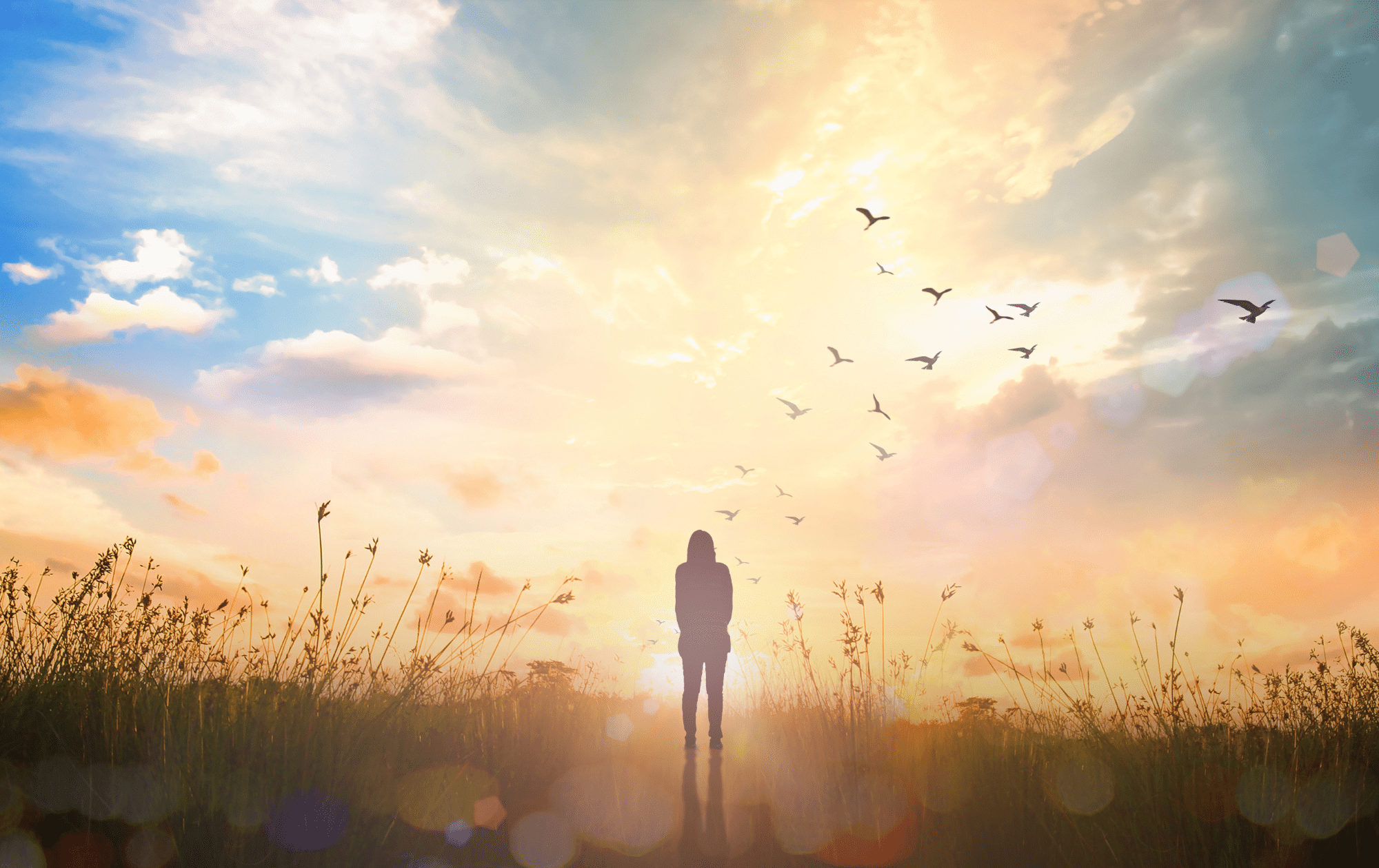 A person standing in a field facing a sunrise, birds flying in the distance